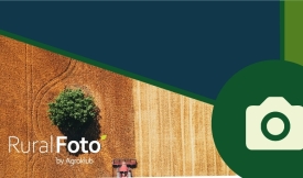 Otvoren izbor za najbolje ruralne fotografije u 2024. godini – nominirajte svoju