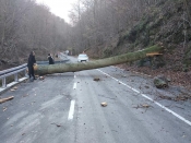 Park prirode Papuk moli posjetitelje da ne dolaze na Jankovac zbog nevremena