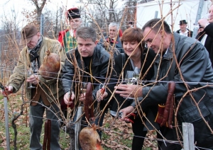 Vincelovo 2014. u Kutjevu d.d.