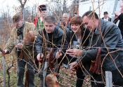 Vincelovo 2014. u Kutjevu d.d.
