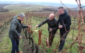 Tradicionalno obilježeno Vincelovo u vinogradima u Podgorju, nekada požeškog Veleučilišta a sada u Vinum Academicum