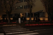 Na brojnim mjestima u gradu Požegi zapaljeni lampioni a najviše ih svijetli u Vukovarskoj ulici