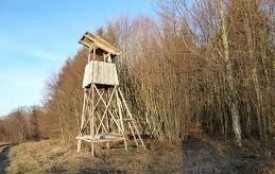 U šumskom dijelu kod Gornje Šumetlice prilikom lova došlo je do ranjavanja lovca iz Irske