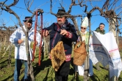 Vincelovo kod Novakovih - 20 godina sam bio predsjednik Udruge vinogradara bez vinograda, sada smo brat, sestra i ja naslijedili vinograd