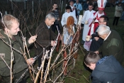 Orezivanje loze kod obitelji Ćasić