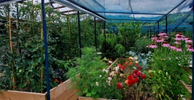Zaštita i jačanje biljaka u ukrasnom vrtu i povrtnjaku s Bio Plantellom