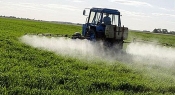U krevetu s pesticidima  ?