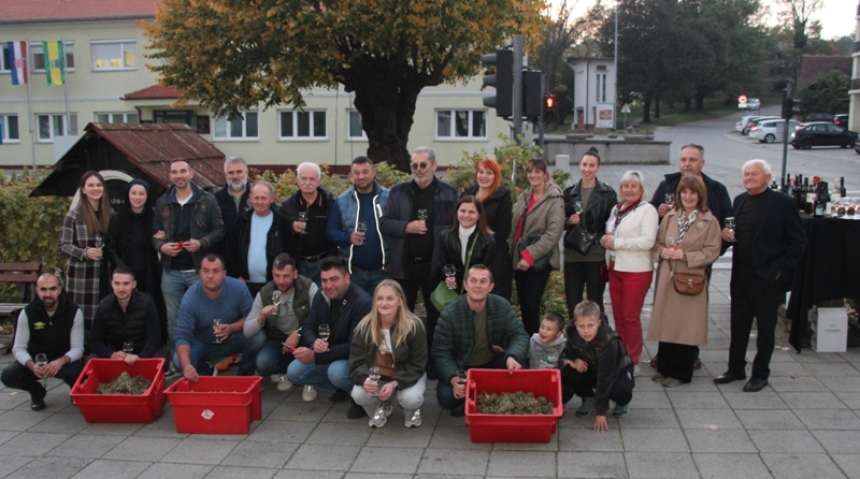 Završna berba grožđa u pokaznom vinogradu na jedinstvenom Trgu graševine donijela odličan urod i grožđe odlične kvalitete