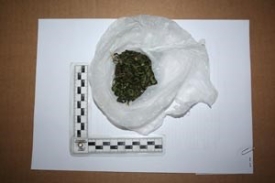 Sinoć kod 22-godišnjaka u Požegi pronađena marihuana