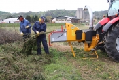 Novogodišnji borovi i granje ide u humus za cvijeće