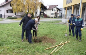 Nastavljena kampanja "Zasadi stablo, ne budi panj" i sadnja  50-tak stabala u Požegi