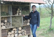 Svoj prostor dobile su bubamare, uholaži, pčele ...