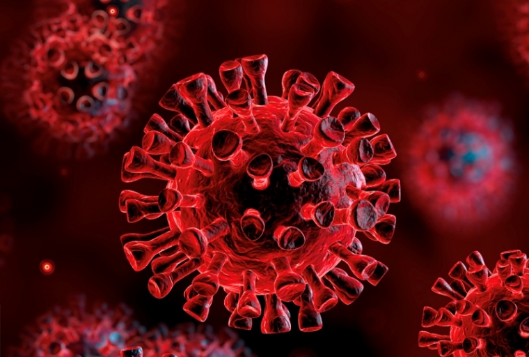 Porast novih slučajeva zaraze u Hrvatskoj sa 958 pozitivnih na korona virus i trenutno 4.732 oboljelih od Covid 19
