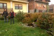Mnoštvo cvijeća, a najviše onoga bijele boje