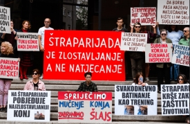 Zlostavljaču konja odgođen zatvor jer bi to utjecalo na dobrobit konja?!?
