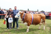 Krava Ruth iz Grabarja šampionka izložbe