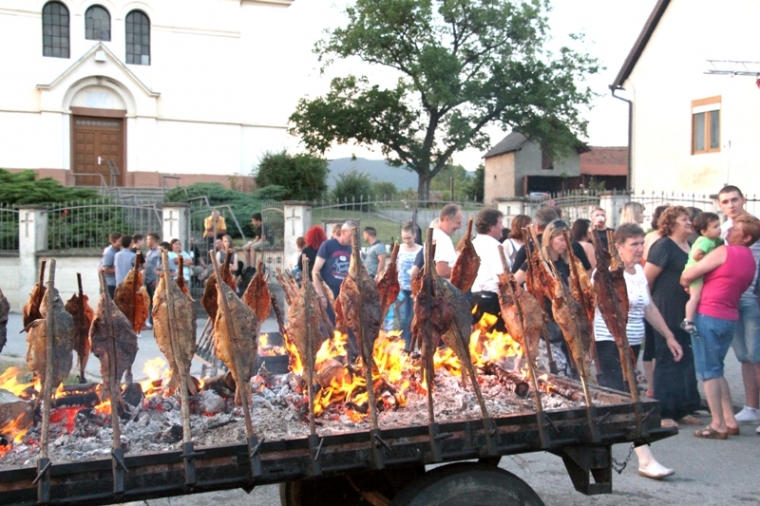 Uz fiš spremno i 1000 šarana u rašljama