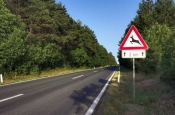 Ove godine na području Požeško-slavonske županije zabilježen 21 nalet na životinje