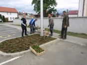 Kaptol zasađen cvijećem