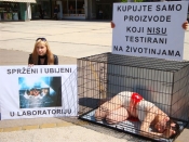 Šokantno: Unatoč zabrani, na životinjama i dalje testiraju kozmetičke sastojke