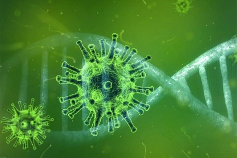U posljednja 24 sata Hrvatska bilježi 37 novih slučajeva zaraze virusom uz 2 preminule osobe od Covid 19
