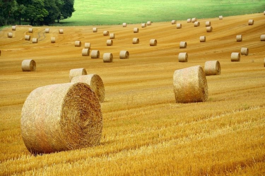 Poljoprivrednicima isplaćeno 505 milijuna eura za potpore zatražene na Jedinstvenom zahtjevu za 2024. godinu