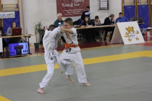 Sedam medalja za džudaše Kutjeva i Čaglina