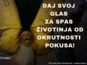 Još samo pet tjedana skupljaju se potpisi za Europu bez pokusa na životinjama zbog kozmetike