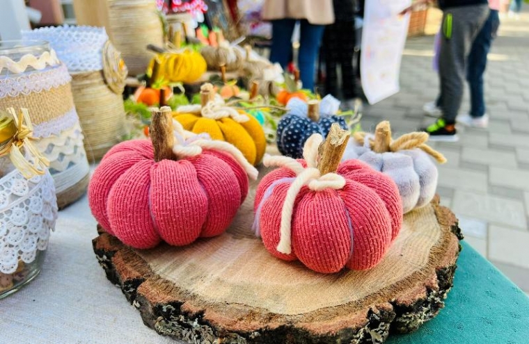 Osnovna škola "Dobriše Cesarića" Požega - osnovala Učeničku zadrugu "Slap"