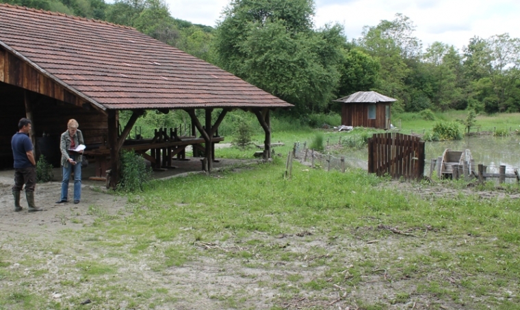 Bujica 'odnijela' pastrve i zamuljila omiljeno izletište