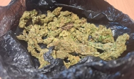 U pretrazi obiteljske kuće u vlasništvu 29-godišnjaka na području Kutjeva pronađena cannabis marihuana