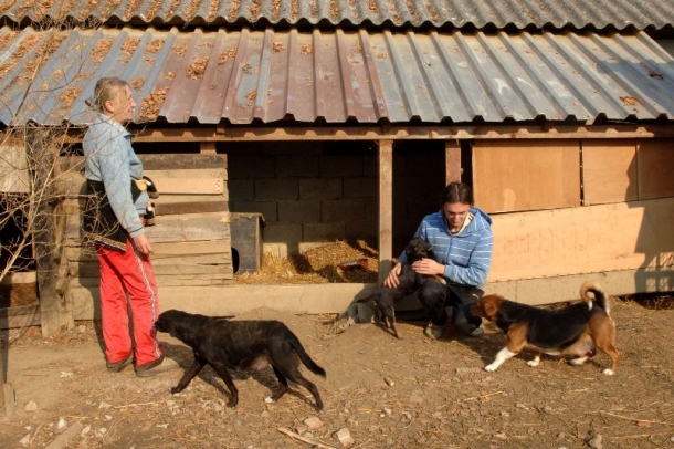Uz pomoć donatora sami grade boksove
