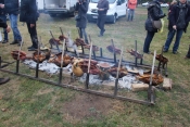 Hedonizam je na istoku! - nova je kampanja TZ Osječko-baranjske    #HeadOnEastCroatia #VisitSlavonijaBaranja