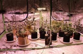 Pretragom kuća pronađen još jedan laboratorij u Velikoj kod 42-godišnjaka i 46-godišnjaka - zaplijenjena droga MDMA, cannabis marihuana i oprema