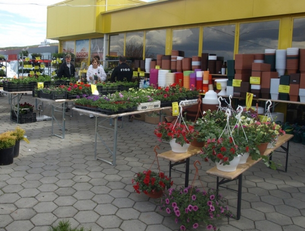 Savjeti, prezentacije, pokloni, akcije