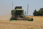 Pšenica polako prestaje biti dominantna kultura u Požeškoj kotlini