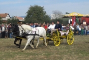 Šampionka Irma iz Novoselaca 