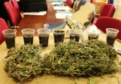U pretrazi pronađena marihuana kod 43-godišnjaka iz Pleternice