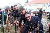 Na jedinstvenom Trgu graševine orezali lozu, zalili starom graševinom i zapalili vatru za pečenje vincelovskog ražnja