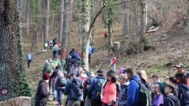 Ovogodišnji  44. "Papučki jaglaci" ostaju najveća hrvatska planinarska manifestacija sa gotovo 3.000 planinara iz 80 društava iz RH i 4 susjedne države
