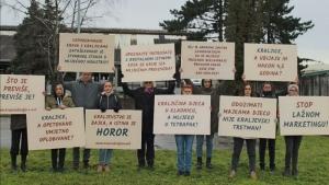 Prijatelji životinja održan prosvjed ispred mliječne farme u Baranji gdje stanuju "krave kraljice"
