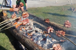9. Festival slanine i vina "Slanvin" Kaptol 2025. donio nove šampione "slaninske ruže" i kvalitetnih vina