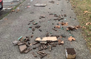 Nakon terora pirotehnikom u prosincu, Prijatelji životinja pokreću peticiju i traže pooštravanje zakona