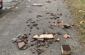 Nakon terora pirotehnikom u prosincu, Prijatelji životinja pokreću peticiju i traže pooštravanje zakona