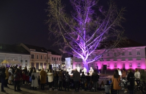 Grad Požega obilježit će Međunarodni dana svjesnosti o prijevremenom rođenju 17. studenog predstavom "Palčica" kod ginka