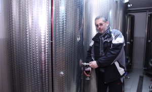 Šampion ocjenjivanja graševina Mitrovac berbe 2015. kutjevačke vinarije Perak