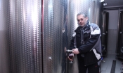 Šampion ocjenjivanja graševina Mitrovac berbe 2015. kutjevačke vinarije Perak