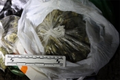 Pritvoren dvojac osumnjičen za neovlaštenu proizvodnju i promet drogama te omogućavanje trošenja droga