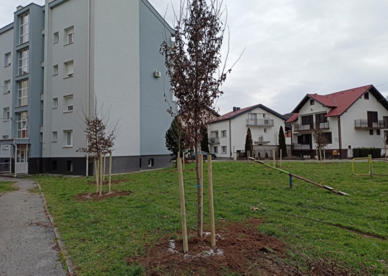Na više lokacija u gradu Požegi zasađena nova stabla i grmovi