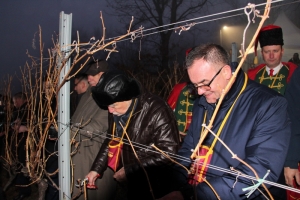 Uz popularnog Joleta, brojne delicije, vola na ražnju i kutjevačka vina Vincelovo slavili do jutra